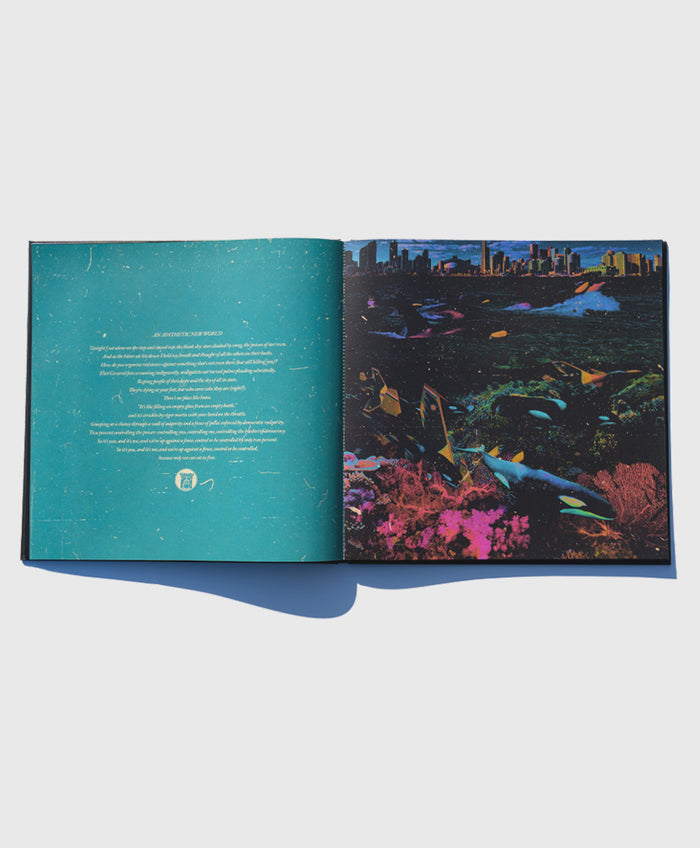 Custom Hard Cover Vinyl Set + CD