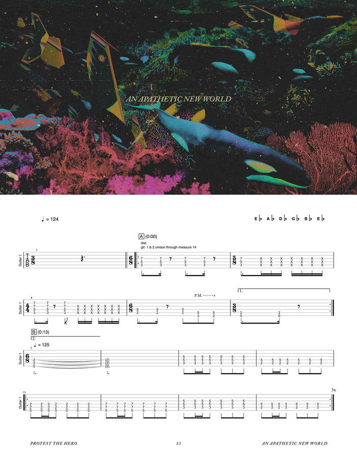 Printed Guitar Book, Digital Guitar Book
