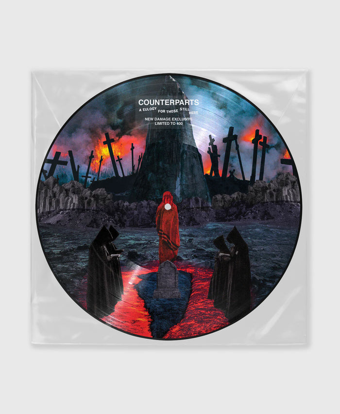 Picture Disc Vinyl