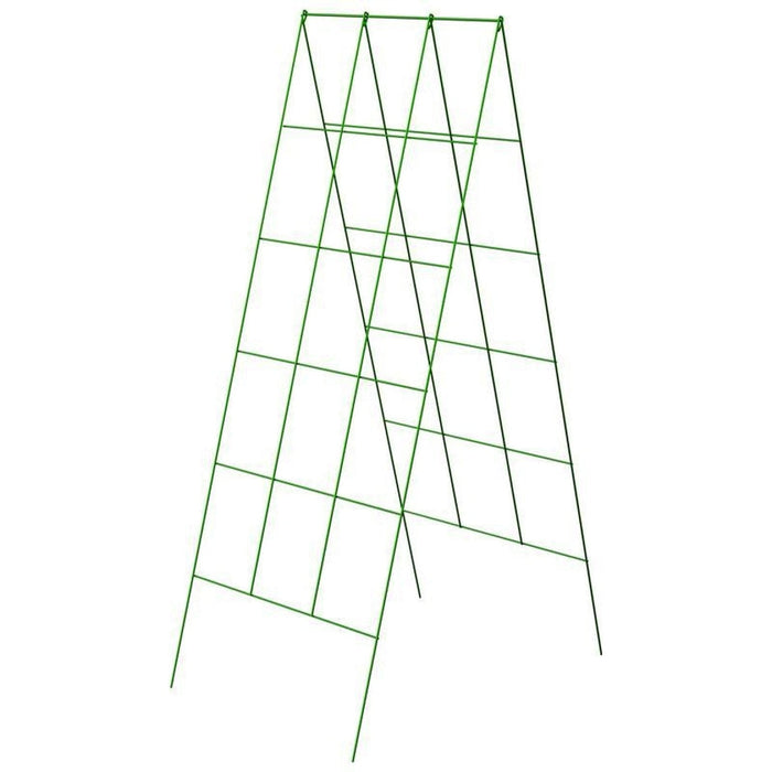 A Frame Trellis