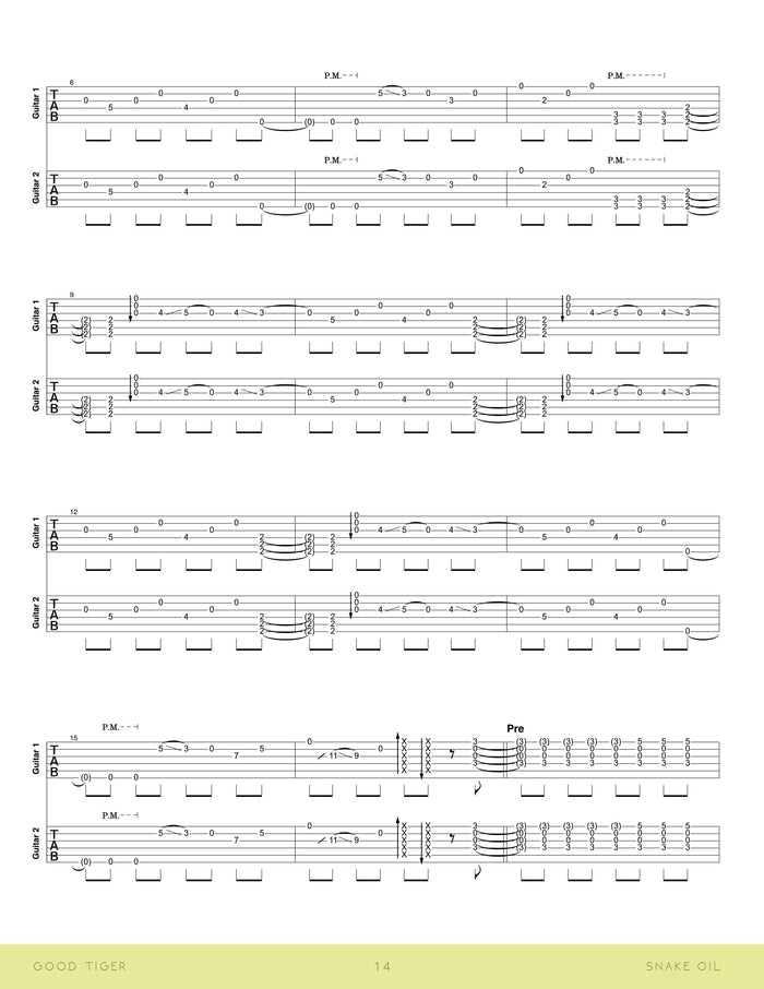 Printed Guitar Book, Digital Guitar Book