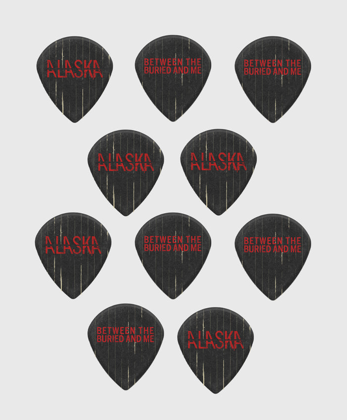 10 Custom Dunlop Picks