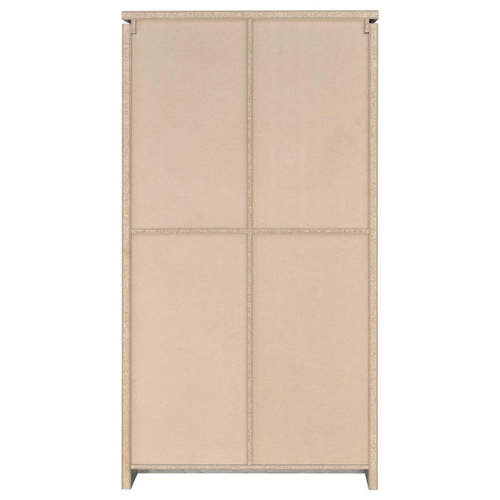 Alejo - 2 Door Engineered Wood Tall Cabinet - Gray Driftwood