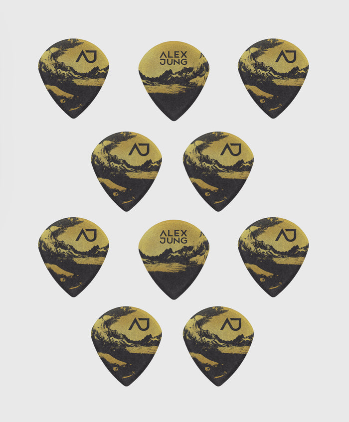 10 Custom Dunlop Picks