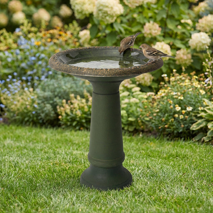 ALGREEN  20" Accerra Green Birdbath