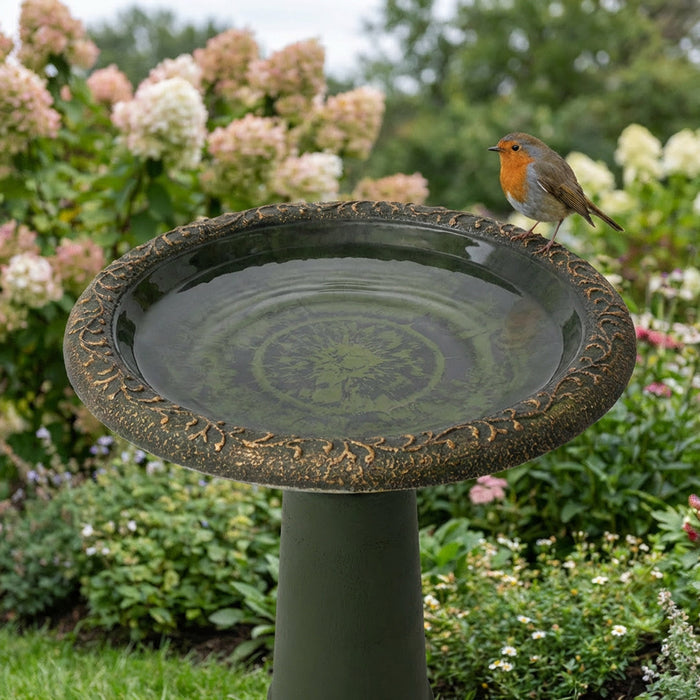 ALGREEN  20" Accerra Green Birdbath