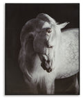 Archerwick - Black / White - Wall Art by Signature Design by Ashley® | Bel Furniture