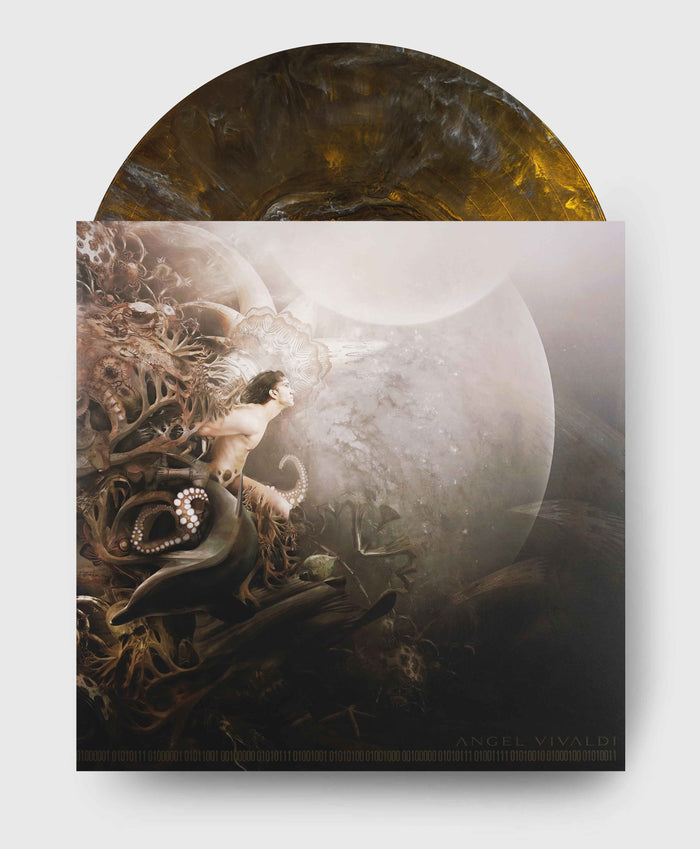 Vinyl + Book Bundle