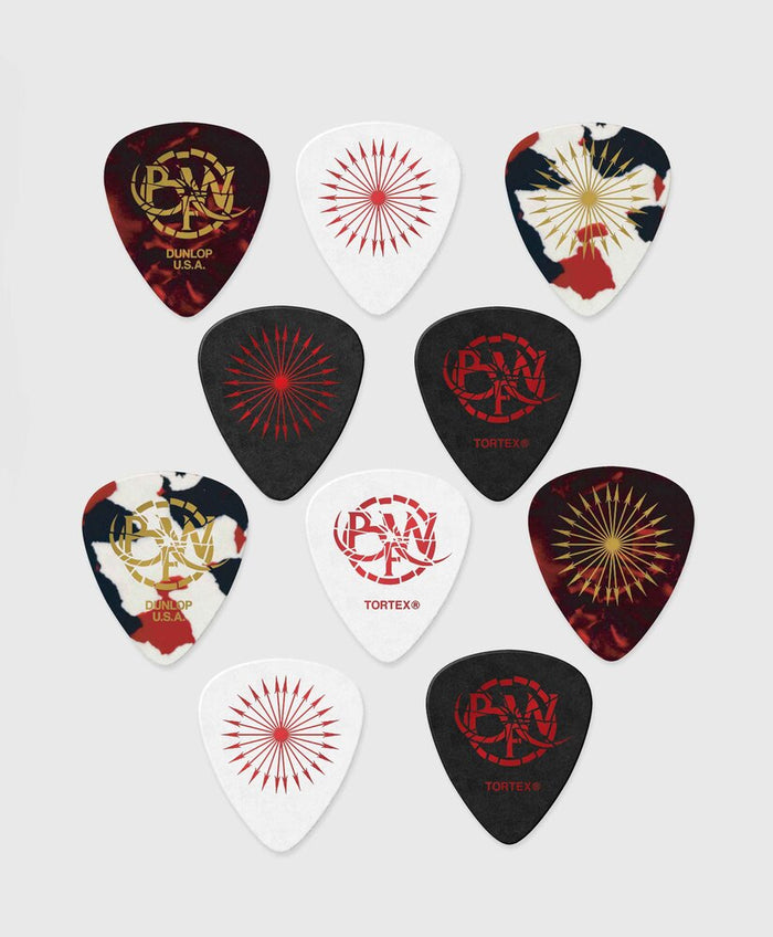 10 Custom Dunlop Standard Picks