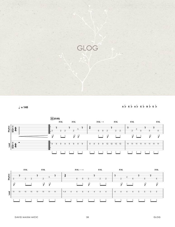 Printed Guitar Book, Digital Guitar Book