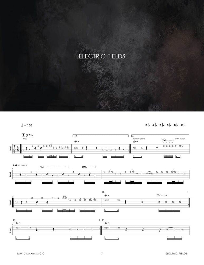Printed Guitar Book, Digital Guitar Book