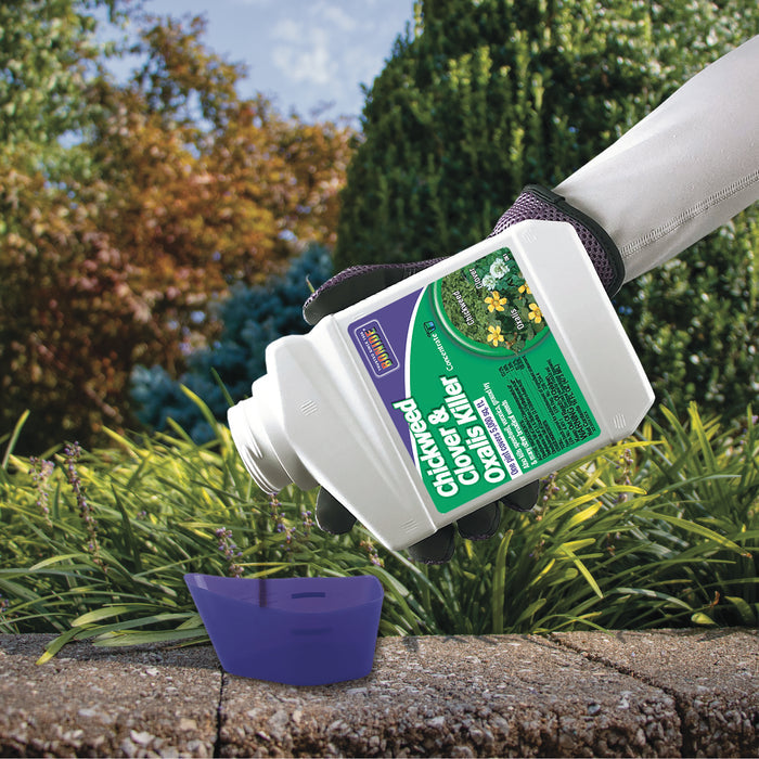 Bonide Chickweed, Clover & Oxalis Killer Concentrate