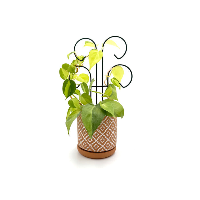 Bosmere Houseplant Trellis- 24" Scroll Pot Trellis