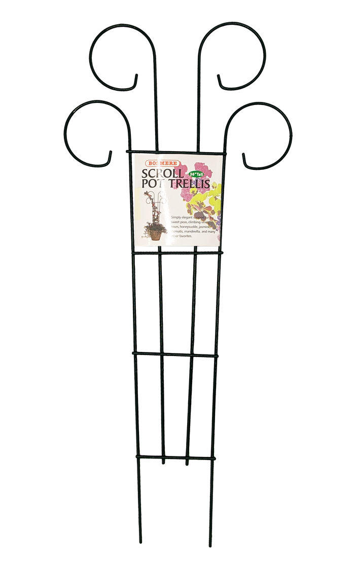 Bosmere Houseplant Trellis- 36" Scroll Pot Trellis