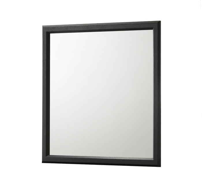 Charlie Dresser Mirror-Charcoal