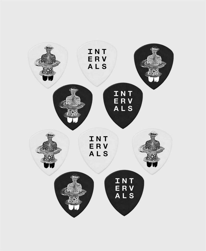 10 Custom Dunlop Tortex Flow Picks
