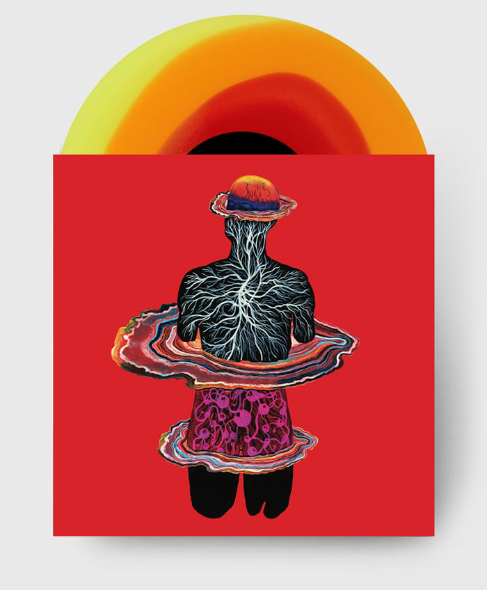 Citrus Swirl LP