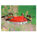 Classic Hummingbird Feeder, 12-oz.