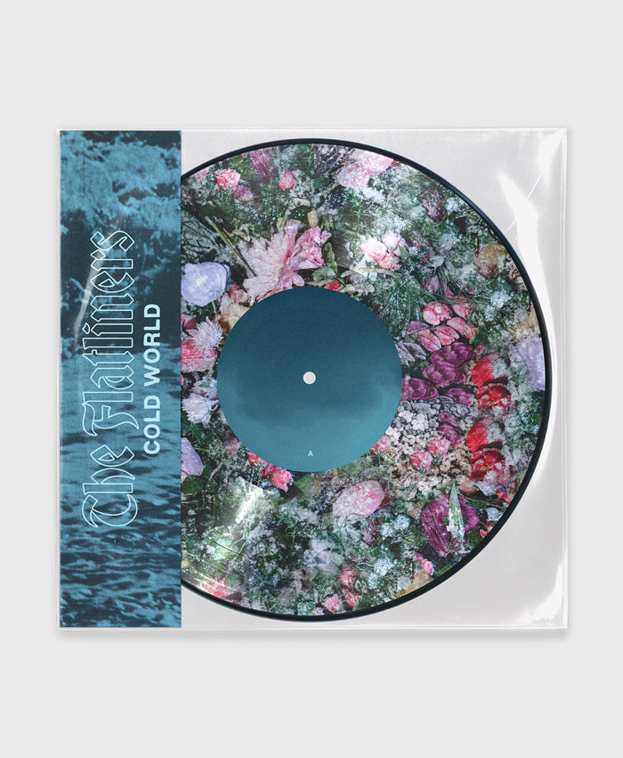 Picture Disc Vinyl