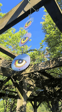 Dalen GUARD'N EYE Full Spectrum Reflective Hanging Scare Disks