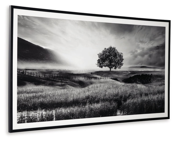 Deborland - Wall Art - Black / White - view 4