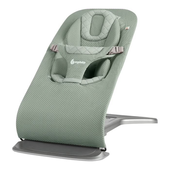 Ergobaby Evolve 3-in-1 Baby Bouncer
