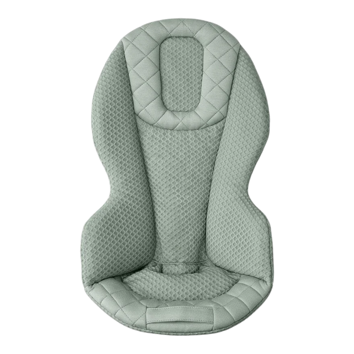 Ergobaby Evolve 3-in-1 Baby Bouncer
