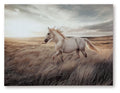Errolville - Wall Art - Multi