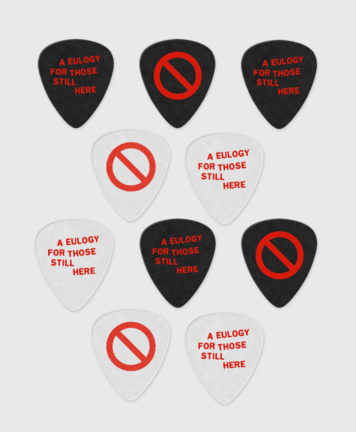10 Custom Dunlop Picks