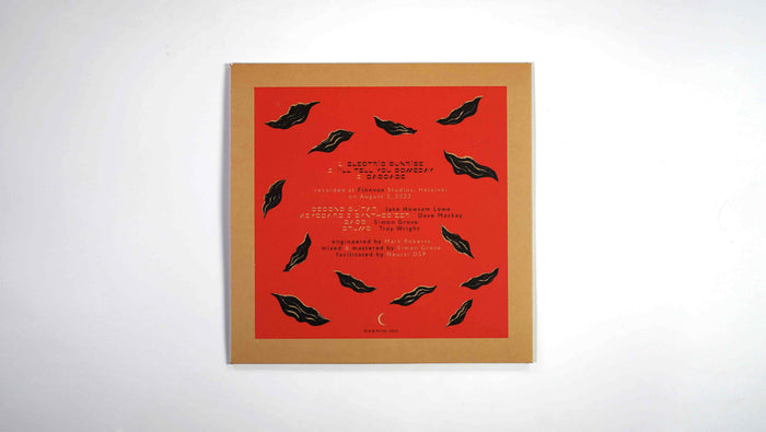 Fire-Burst Vinyl