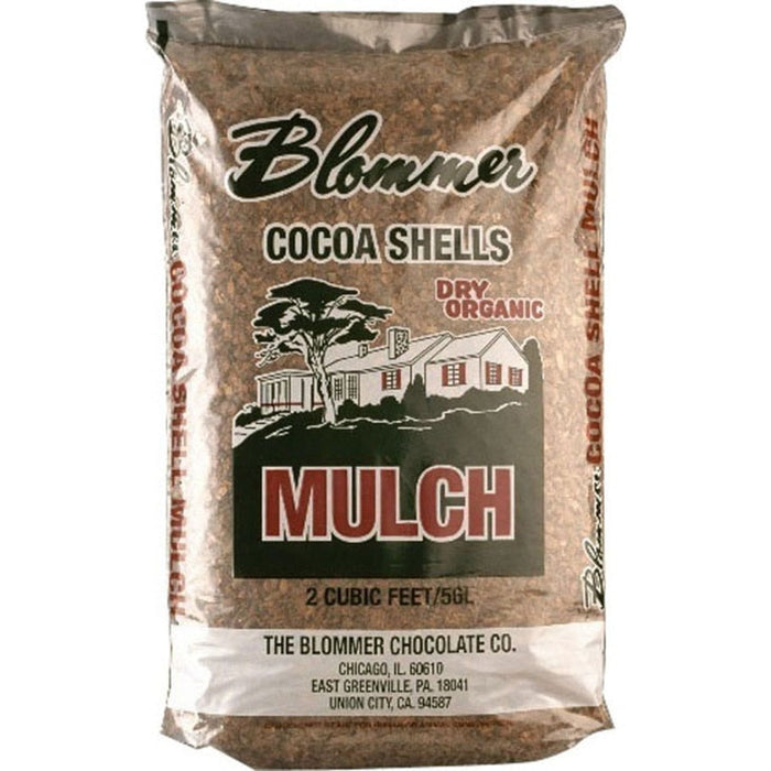 Florida Cocoa Shell
