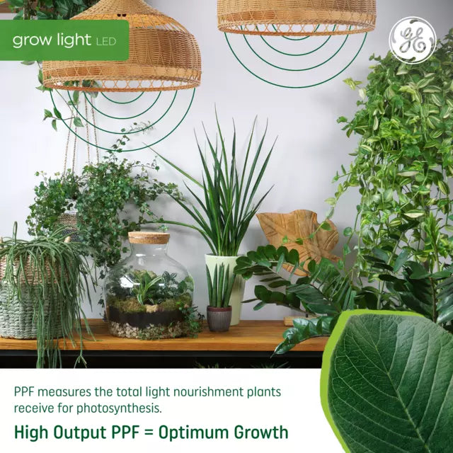 GE Grow LED Light Bulb, A19 Indoor Plant Light for Seeds and Greens 16 PPF