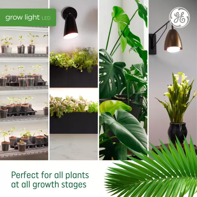 GE Grow LED Light Bulb, A19 Indoor Plant Light for Seeds and Greens 16 PPF