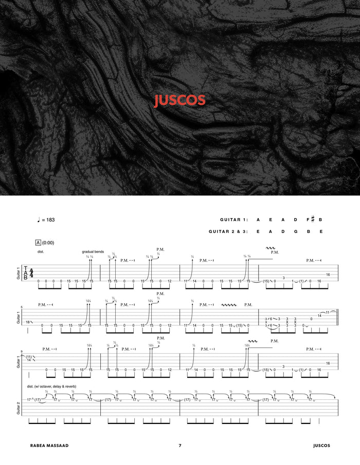 Printed Guitar Book, Digital Guitar Book