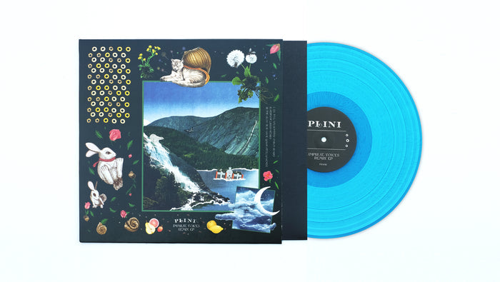 Hedgehog-Blue Etched Vinyl