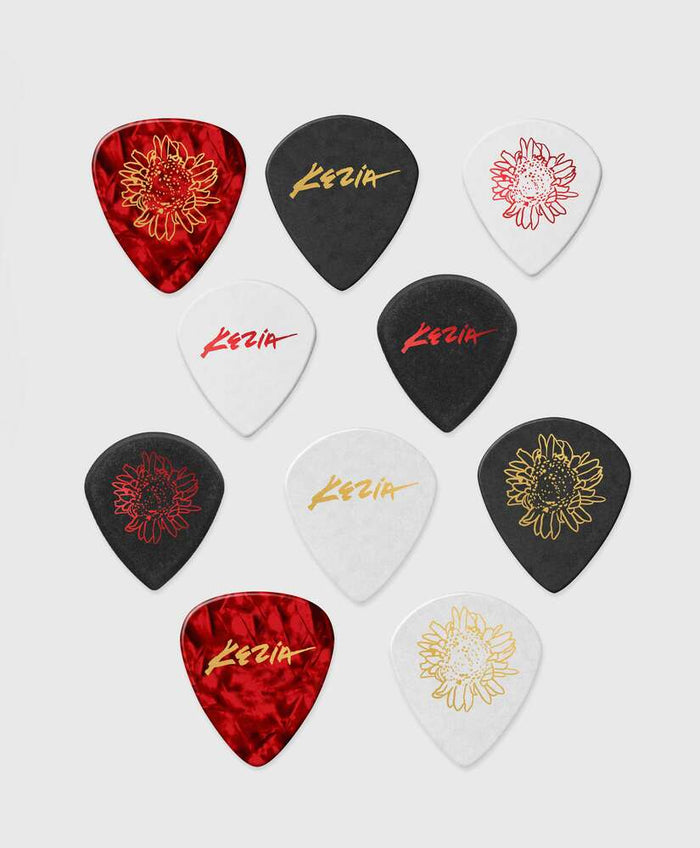 10 Custom Dunlop Guitar Picks