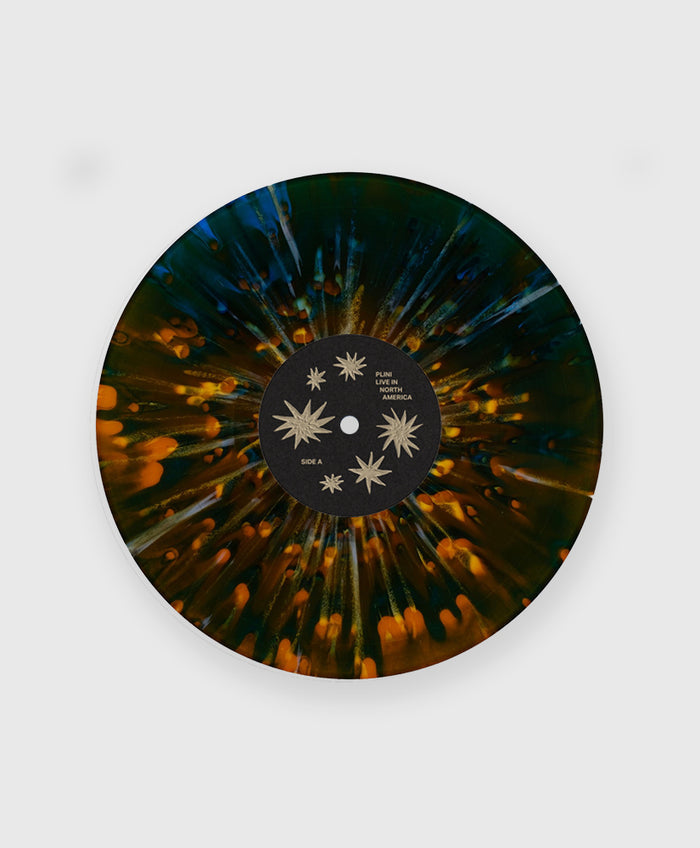 Night Bloom Burst Vinyl