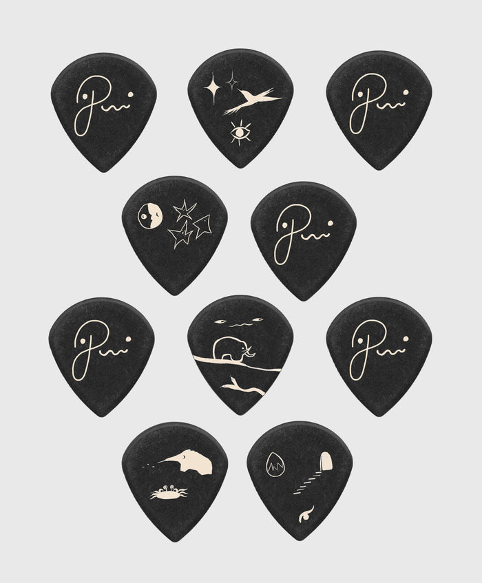 10 Custom Dunlop Picks