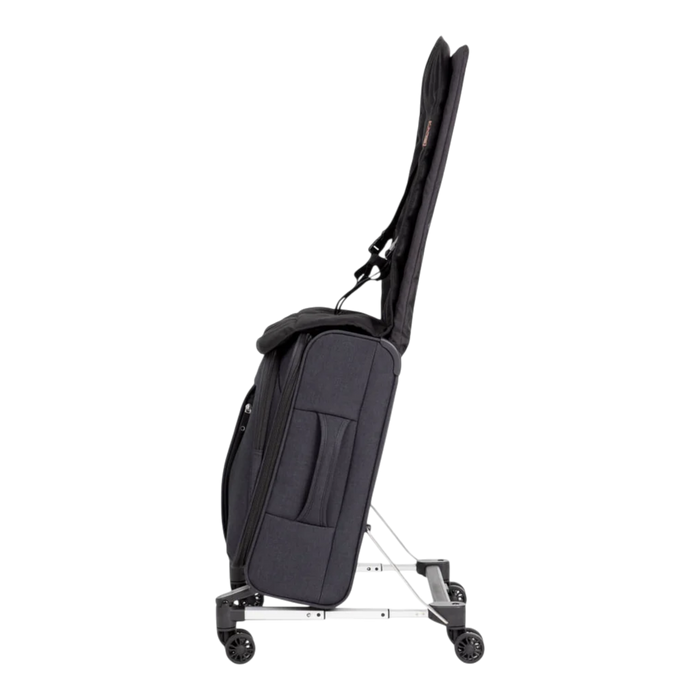 Mountain Buggy Skyrider