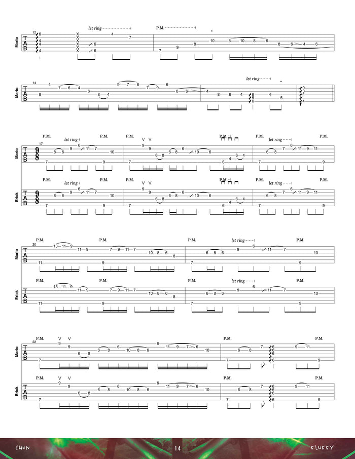 Printed Guitar Book, Digital Guitar Book