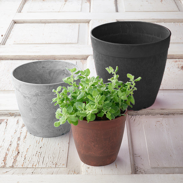 Novelty Dolce Round Planter
