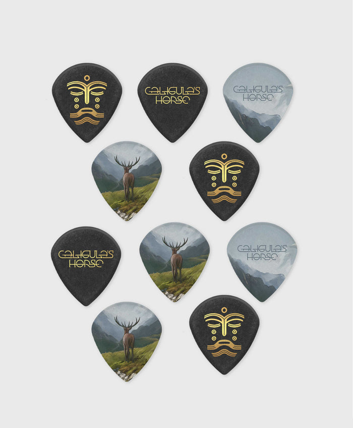 Custom Dunlop Tortex Jazz iii Picks