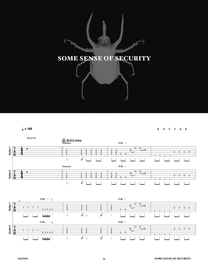 Printed Guitar Book, Digital Guitar Book