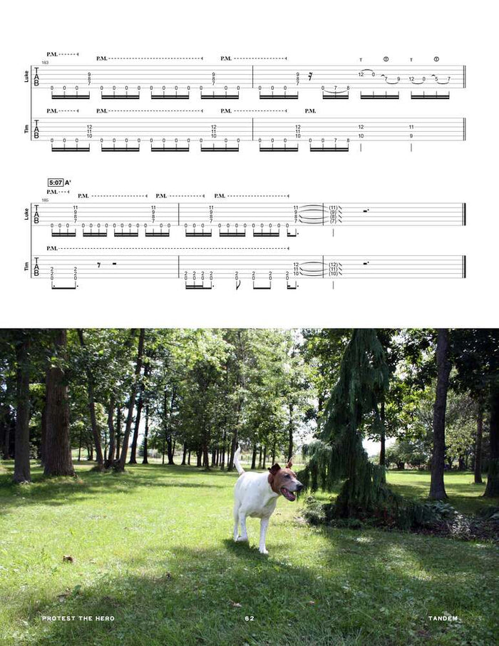 Printed Guitar Book, Digital Guitar Book