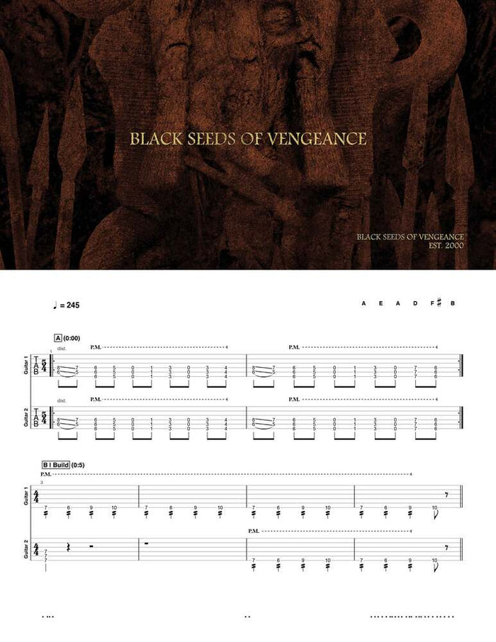 Printed Guitar Book, Digital Guitar Book