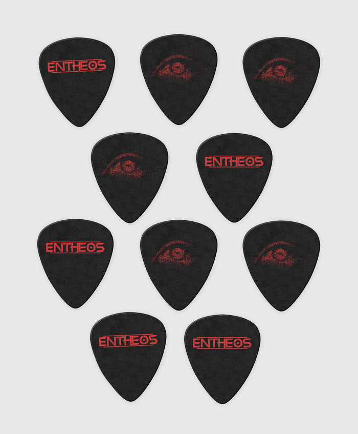 10 Custom Dunlop Picks