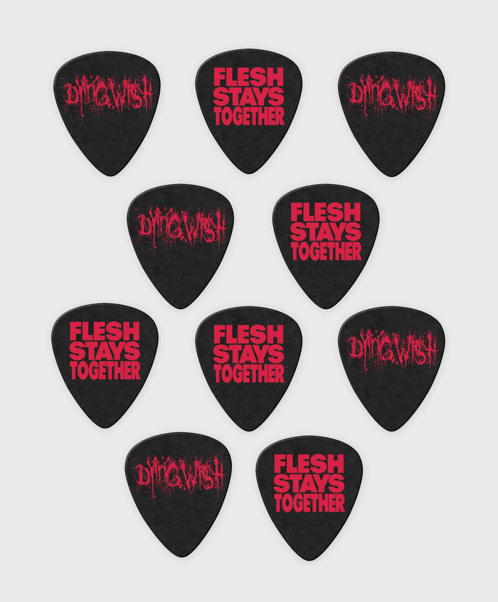 10 Custom Dunlop Standard Picks