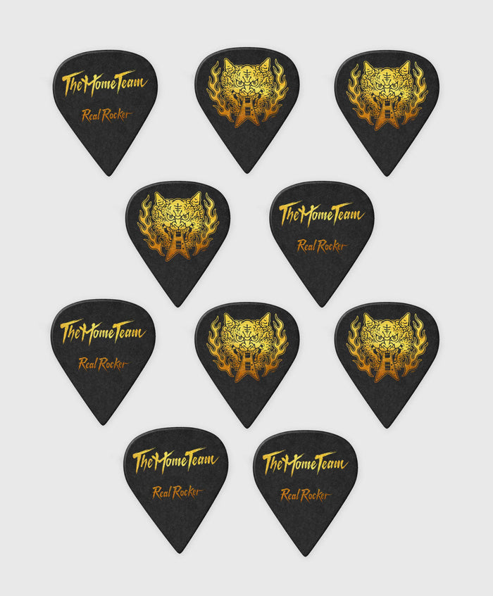 10 Custom Dunlop Picks