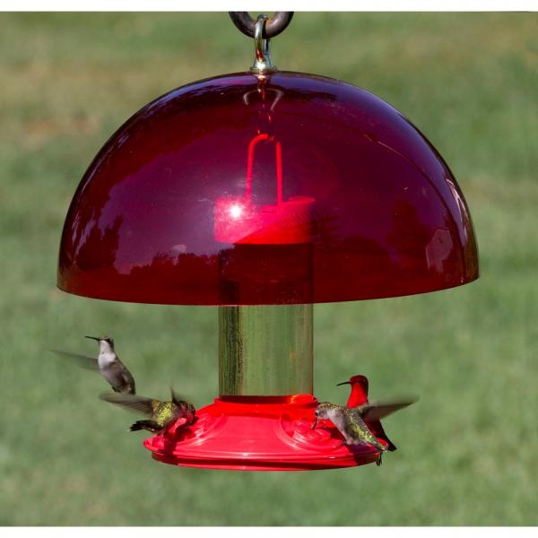 Songbird Essentials Hummer Helper Hummer Helmet Baffle