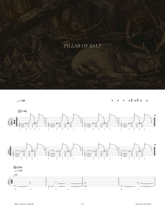 Printed Guitar Book, Digital Guitar Book